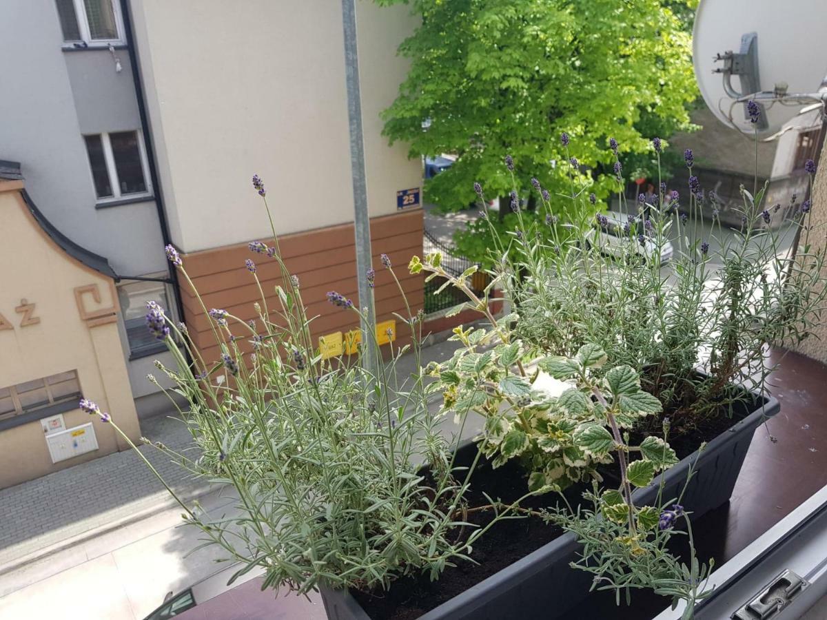 Przytulna I Przestrzenna Garsoniera- Centrum Tarnów Buitenkant foto